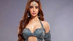 Naagin 6: Maheck Chahal on her role