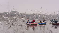 yamuna river, yamuna river project