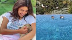 Priyanka is a pet mother with two more dogs named Diana and Panda. 