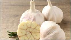 Garlic Clove