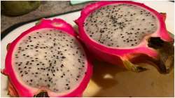 Dragon fruit