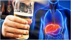  Harsh effects of alcohol on the liver