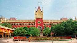 Calcutta High court, Paresh Chandra Adhikari, tmc, west bengal, cbi probe west bengal