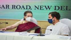 sonia gandhi, rahul gandhi, congress working committee meeting