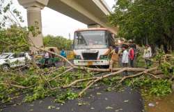 Delhi rains, Delhi-NCR rains, Rains, IMD, Delhi Weather Update, Delhi Weather, Thunderstorm, storm i