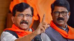 sanjay raut, shiv sena, one nation one language