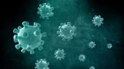 coronavirus 