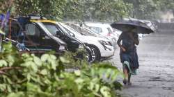 A commuter walks past an uprooted tree, during a dust storm and rainfall in New Delhi, Monday, May 30.?