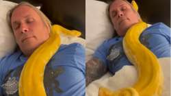 Video of a man sleeping with two pythons crawling over him goes viral; netizens say 'Are you mad?'