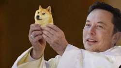 elon musk, dogecoin, elon musk dogecoin, cryptocurrency, crypto news