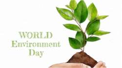 World Environment Day