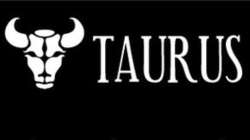 Taurus 