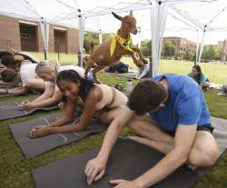 Representative image on men and women enjoying a light workout session