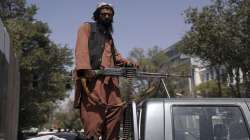 TTP commander killed, Tehreek-e-Taliban Pakistan, Omar Khalid Khorasani, TTP Commander Omar Khalid K