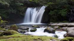 Kerala rains 2022, one killed in waterfall, one killed in waterfall due to flash flood caused by hea