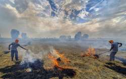 Stubble burning in Punjab