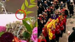 Queen Elizabeth's coffin at her funeral 