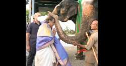 Mukesh Ambani takes blessings at the Tirumala Tirupati Temple.  