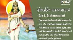 Happy Navratri 2022 Day 2: Worship Maa Brahmacharini