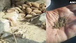 Police seize the factory involved in the manufacturing of fake spices