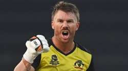 David Warner in action