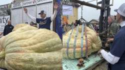 huge pumpkin picture