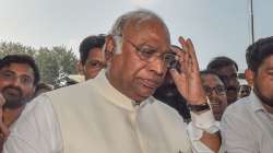 Congress president election, Mallikarjun Kharge, Sonia Gandhi