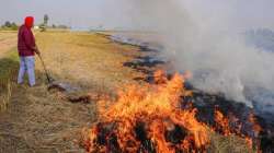 Stubble burning news, Stubble burning, Stubble burning solution, Stubble burning delhi, Stubble burn