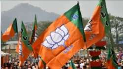 BJP releases star campaigners' list