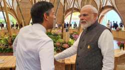 Prime Minister Narendra Modi meets his UK counterpart Rishi Sunak in Indonesia's capital Bali