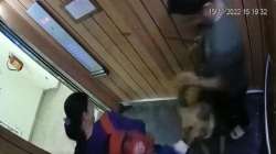 CCTV footage from inside the lift shows the dog attacking the child