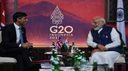 G20 Summit 2022, G20 Summit, G20 Summit latest news, PM Modi, rishi sunak, Narendra Modi, Bali, G20 