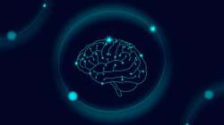 Brains with more vitamin D have better cognitive functions