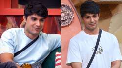 Bigg Boss 16: Ankit Gupta's eviction has a twist