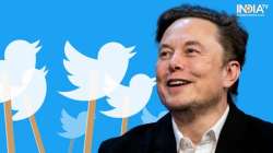  Elon Musk reinstates journalists' suspended Twitter accounts following criticism