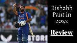 A review of Rishabh Pant's performance in 2022