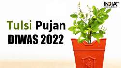 When is Tulsi Pujan Diwas 2022?