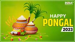 Pongal 