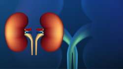 Body's warning signs that your kidneys are in trouble