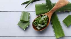 Ways to preserve Aloe Vera gel 