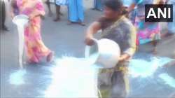 Tamil Nadu, Tamil Nadu dairy farmers protest, dairy farmers protest, Tamil Nadu news, Tamil Nadu 