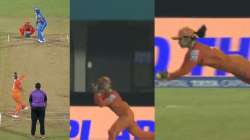 Harmanpreet Kaur takes stunning catch