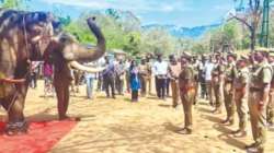 Elephant Kaleem retires at 60