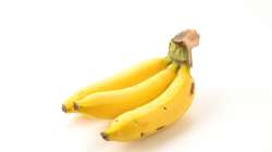 File pic of banana