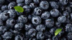 Blueberries for brain health