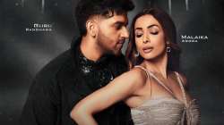 Guru Randhawa and Malaika Arora