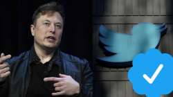 Twitter CEO Elon Musk