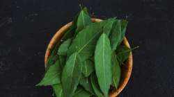 Curry leaves