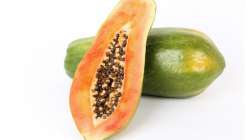 Foods to avoid after consuming papaya