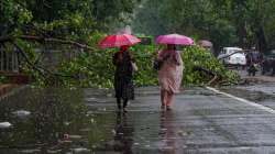 Delhi: Rain, overcast skies in national capital; heat wave unlikely till June 4